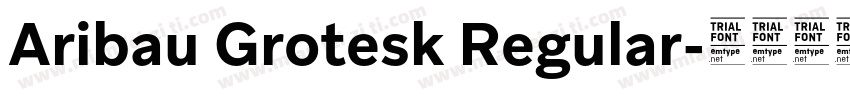 Aribau Grotesk Regular字体转换
